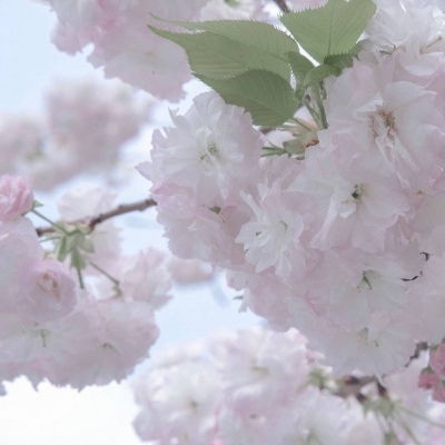 兽设洞穴场景绘制福瑞群